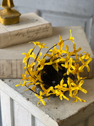 8" Sunrise Forsythia Nest