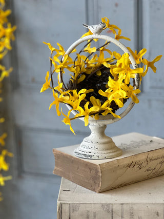 8" Sunrise Forsythia Nest
