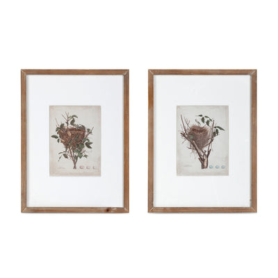 Set of 2 Framed Feathered Nest Prints Wall Decor