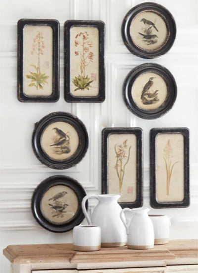 Set of 4 Weathered Black Framed Botanical Prints