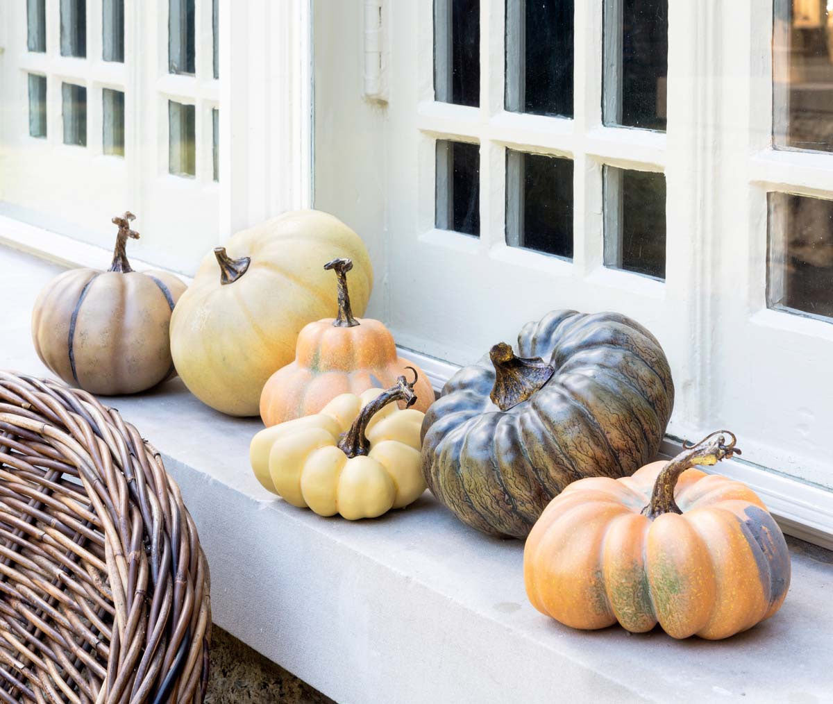 Collection of 6 French Field Pumpkins