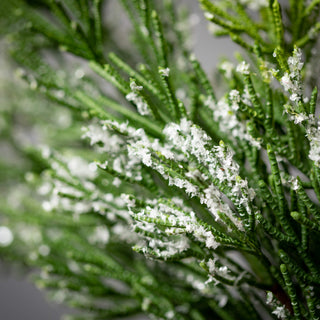 72" Frosted Green Cedar Garland