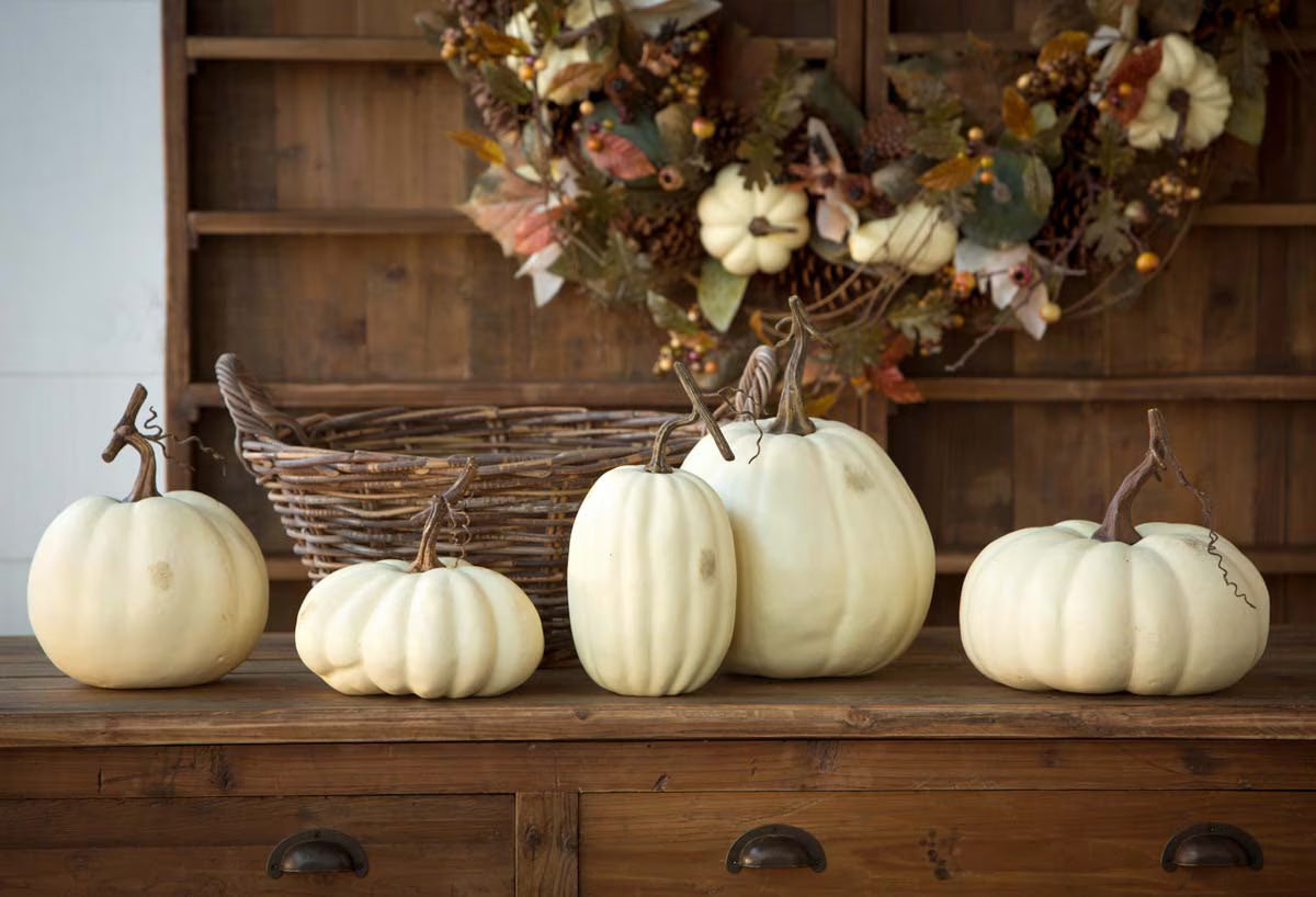 Full Moon Pumpkin Collection - Set of 5