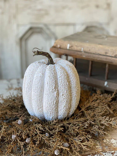 Full Moon Pumpkin