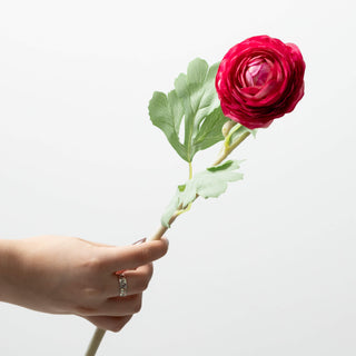 19" Ranunculus Stem - Fushia