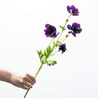 31.5" Plum Anemone Spray
