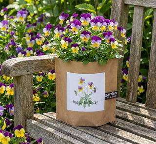 Birthday Garden in a Bag