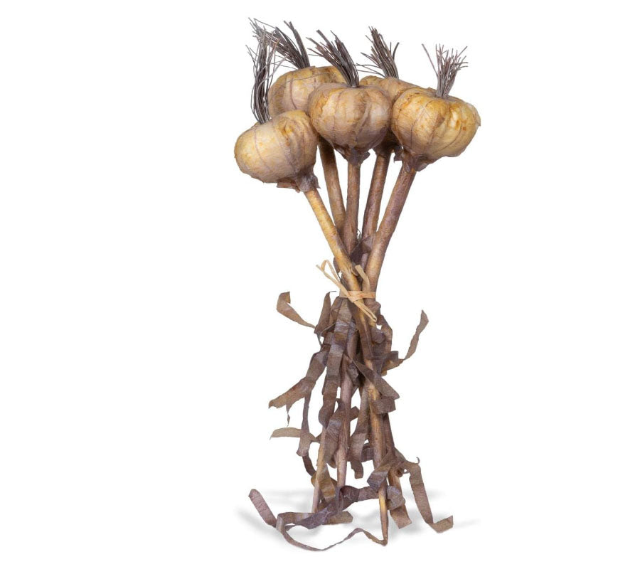 Faux Dried Garlic Bundle