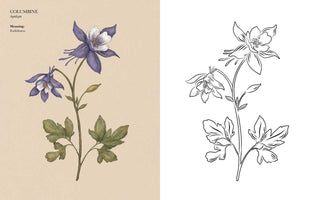 Floriography Coloring Book