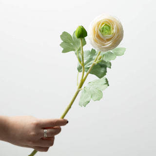 19" Ranunculus Stem - Cream