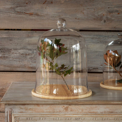 Large Glass Cloche with Wooden Base