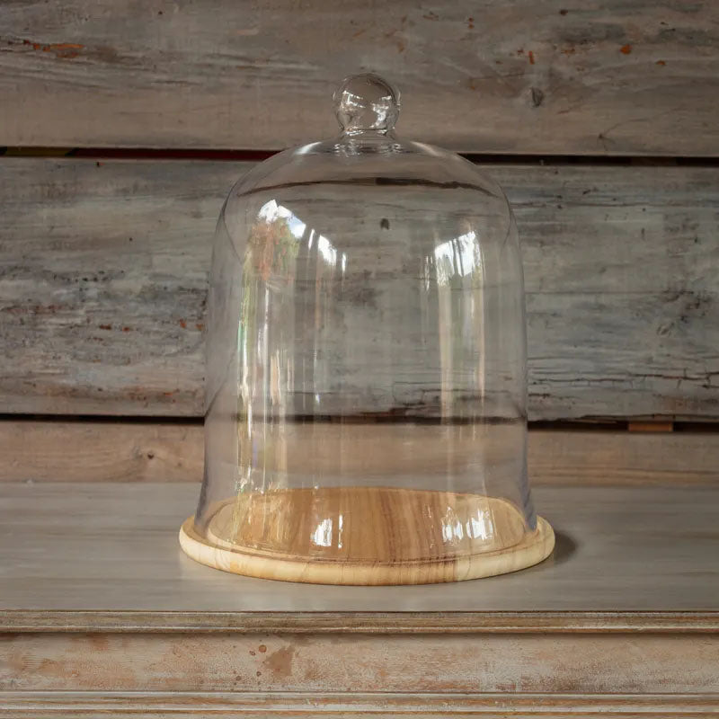 Large Glass Cloche with Wooden Base