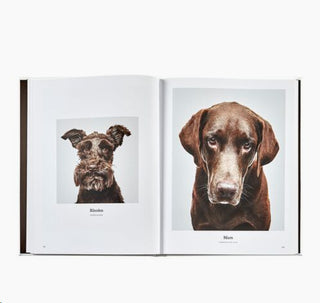 Good Dog Leather Addition Book