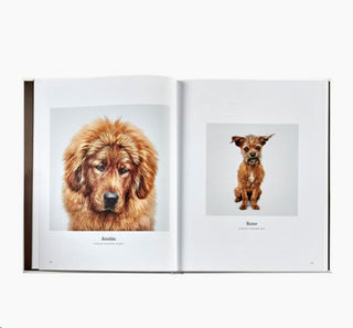 Good Dog Leather Addition Book