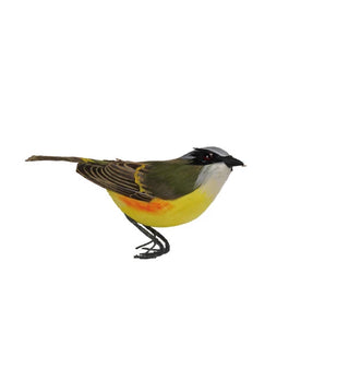 Feathered Bird Ornament - Choose Style