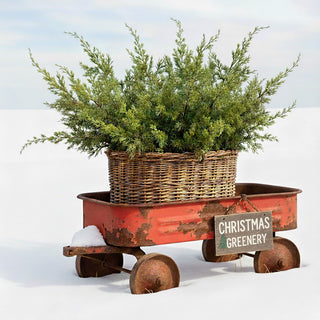 36" Real Touch Cypress Pine Branch