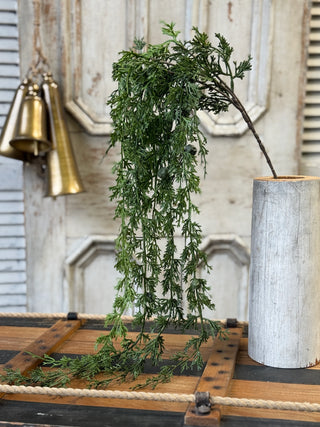 55" Greenfall Cedar Hanging Stem