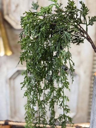 55" Greenfall Cedar Hanging Stem