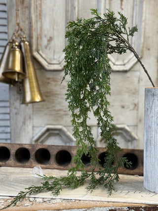 55" Greenfall Cedar Hanging Stem