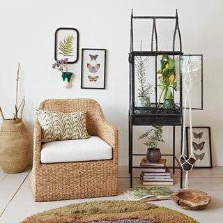 The Sante Marie Terrarium