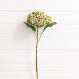 22" Real Touch Autumn Hydrangea Stem - Green