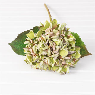 22" Real Touch Autumn Hydrangea Stem - Green