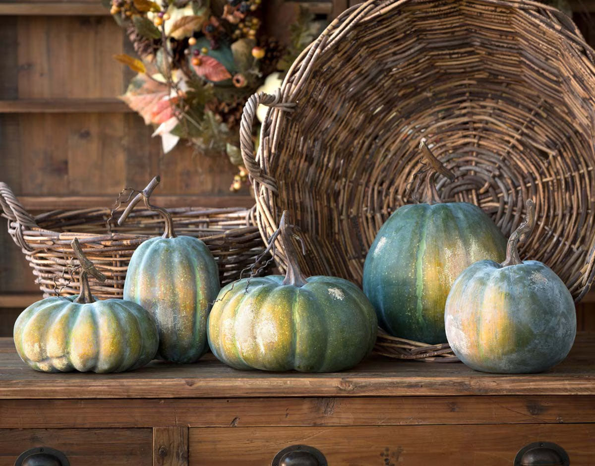 The Set of 5 Early Green Pumpkin Collection