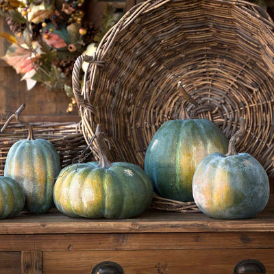 The Set of 5 Early Green Pumpkin Collection