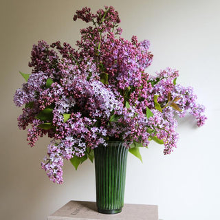 Bergs Potter Daisy Emerald Green Glazed Vase