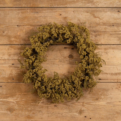 18" Green Queen Anne Lace Wreath