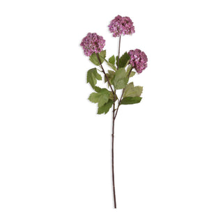 23.25" Guelder Rose Stem