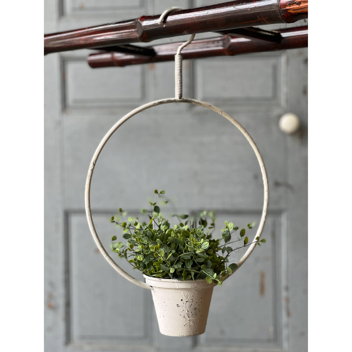 Hanging Halo with Planter