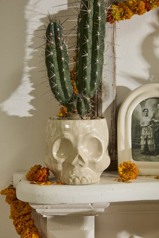 Haunting Skull Pot