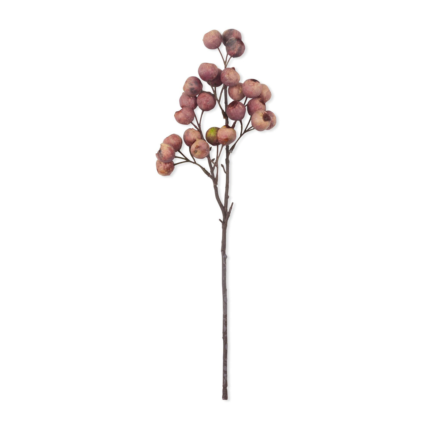 18.5" Hawthorne Berry Stem