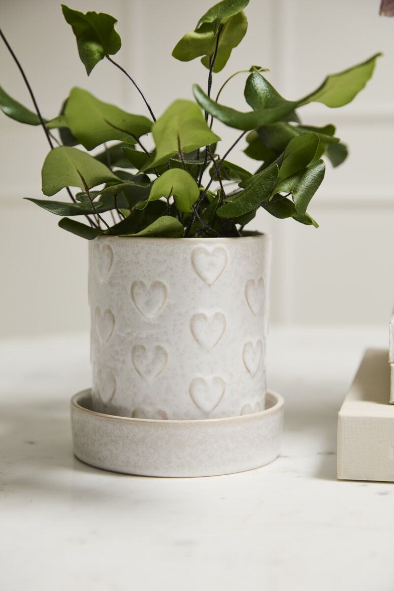 Heartfelt Planter with Saucer