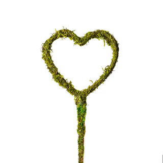Set of 3 Moss Heart Picks