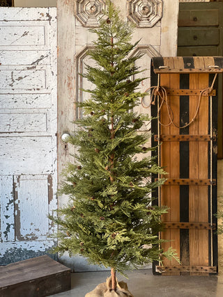 72" Hemlock Tree