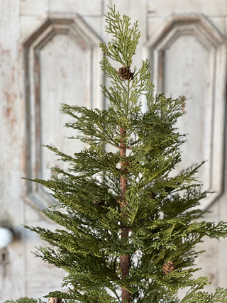 72" Hemlock Tree