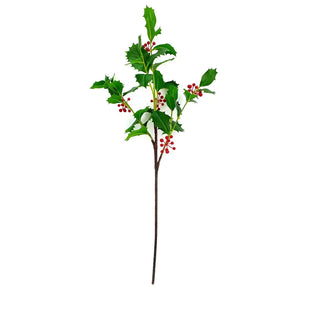 27" American Holly Stem