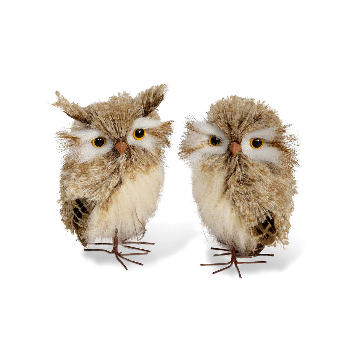 Feathered Horned Owl Pair