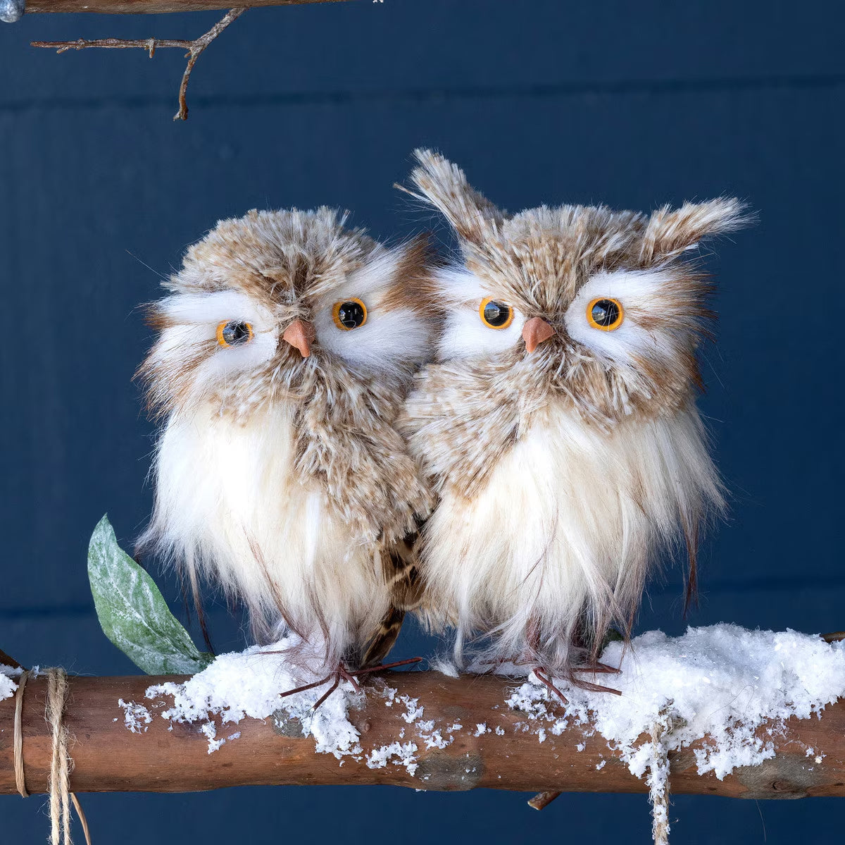 Feathered Horned Owl Pair