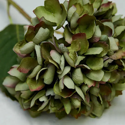 Hydrangea Flora Stem