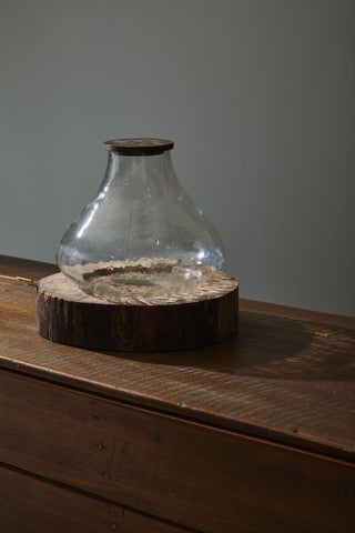 The Iva Terrarium