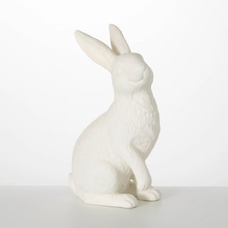 The Joyful White Bunny