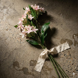 30" Pink Heavenly Jasmine Stem