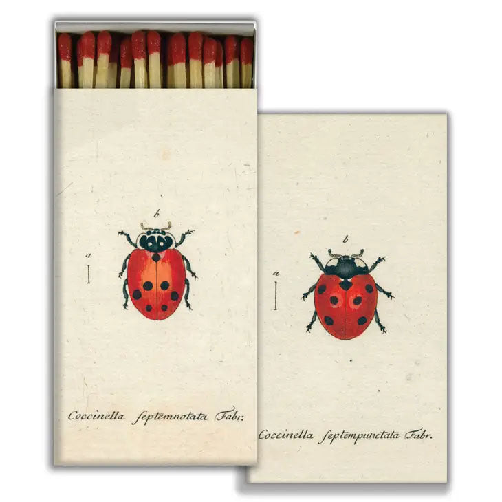 Ladybug Design Safety Matches