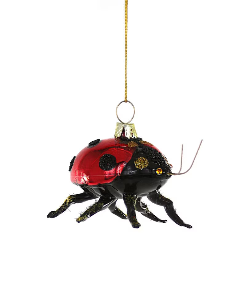 Cody Foster Glass Lady Bug Ornament