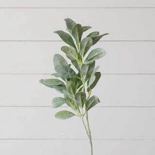 29.5" Tall Lamb's Ear Stem