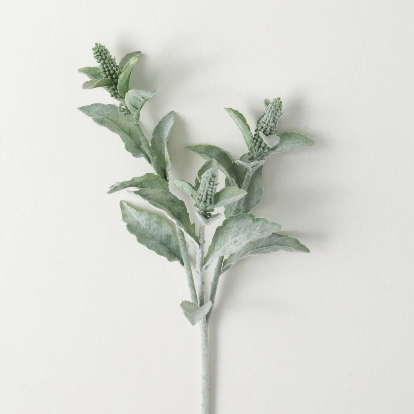 29.5" Tall Lamb's Ear Stem