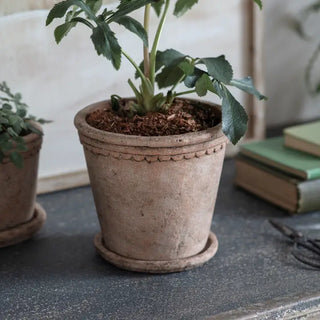 The Milston Planter with Saucer - Choose Size